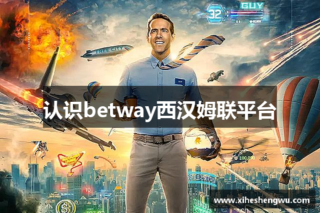 认识betway西汉姆联平台